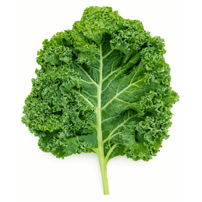 Kale Yaprağı 100 g Paket