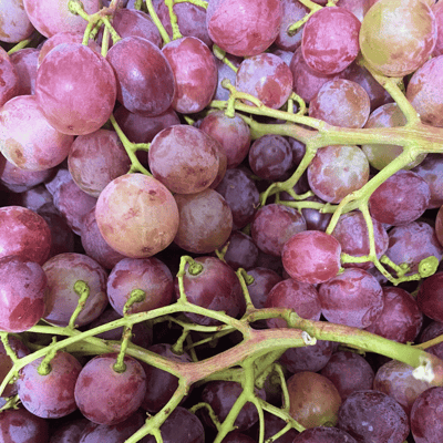 Kırmızı Üzüm (Red Globe)