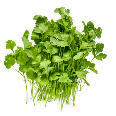 Kişniş - 25G Paket