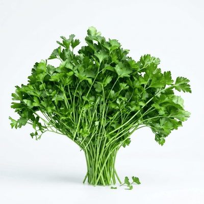 Maydanoz - 40G Paket