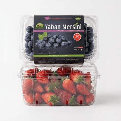 Mini Yaza Giriş Seti ( 500gr Yaban Mersini - 500gr Çilek)
