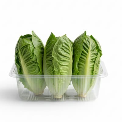 Mini Yedikule Yeşil