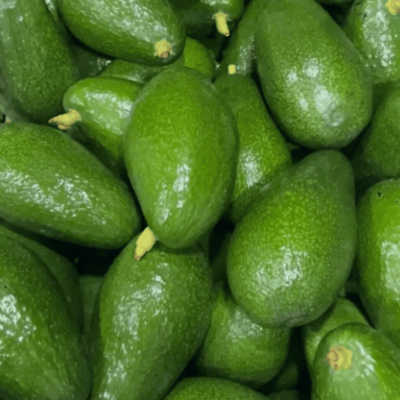 Yerli Organik Sertifikalı Avokado 1 kg