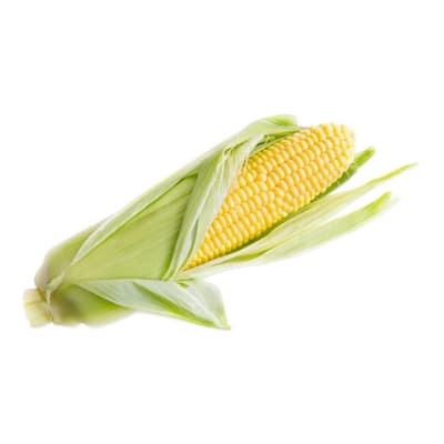 Organik Taze Mısır 1 Adet