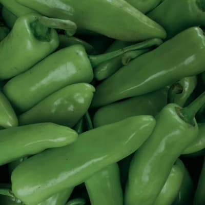 Organik Yeşil Kapya Biber 1 kg