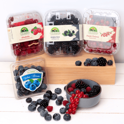 Orman Meyveleri Tanışma Paketi