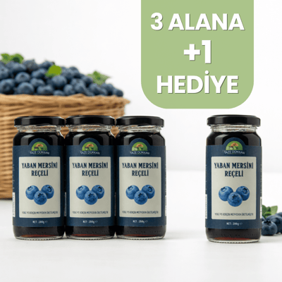 Şeker İlavesiz Yaban Mersini Reçeli 3 adet Alana 1 adet Hediye