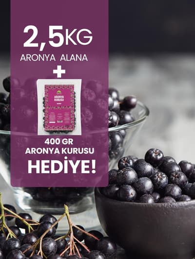 Taze Aronya (Coğrafi İşaretli) 2.5 kg Alana 400gr Aronya Kurusu Hediye