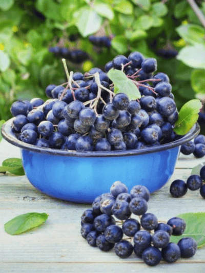 Taze Aronya (Organik Sertifikalı)