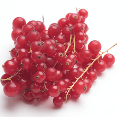 Taze Frenk Üzümü