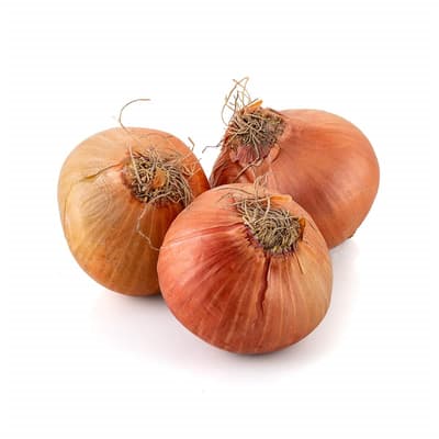 Organik Kuru Soğan 500 gr