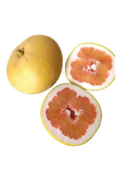 Ağaç Kavunu (Pomelo) adet