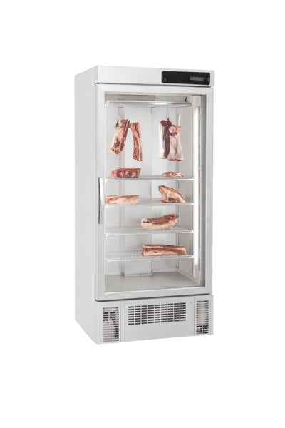 Frenox  70x80x198 mm. 600 lt. Dry Age Buzdolabı DR6-G-R290