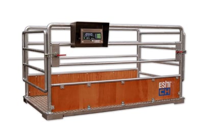 EsitCH Canlı Hayvan Baskülü Canlı Hayvan Baskülü 1500 kg