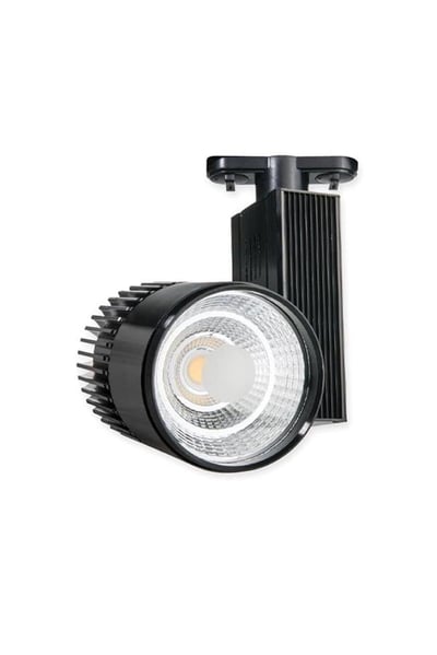 Forlife Ray Spot FL-2084S