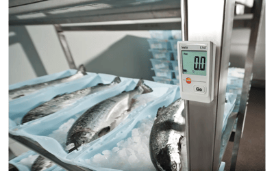 Testo 174T Mini Sıcaklık Data Logger