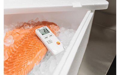 Testo 184 T2 – Nakliye İzleme Sıcaklık Data Logger, Ekranlı | 0572 1842