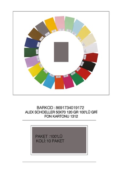 ALEX FON KARTONU 120GR 50X70 GRİ 100 LÜ 12