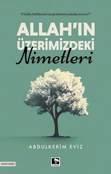 Allah’ın Üzerimizdeki Nimetleri