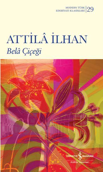 Bela Çiçeği