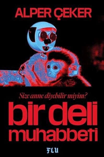 Bir Deli Muhabbeti
