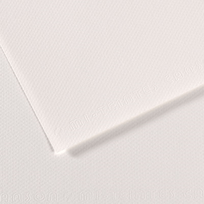 CANSON FON KARTONU MI-TEINTS 50x65 160 GR ( 10 LU PAKET ) BEYAZ 335 31027S086