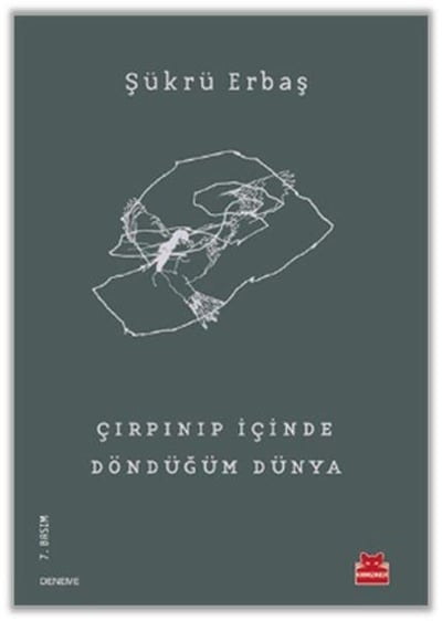 Çırpınıp İçinde Döndüğüm Dünya