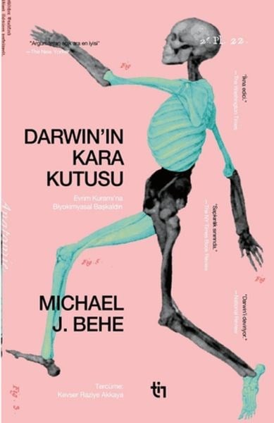Darwin'in Kara Kutusu