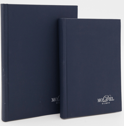 DİLMAN DEFTER MODELİST CİLTLİ SERT KAPAK 17x24 160 YP DÜZ 6013