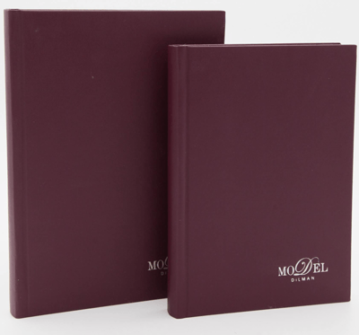 DİLMAN DEFTER MODELİST CİLTLİ SERT KAPAK 17x24 160 YP DÜZ 6013