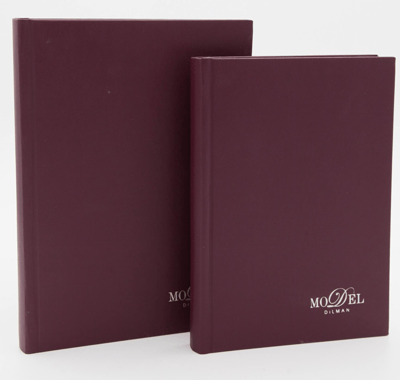 DİLMAN DEFTER MODELİST CİLTLİ SERT KAPAK 17x24 160 YP KARELİ 6015