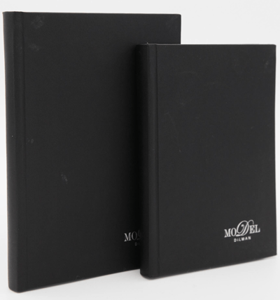 DİLMAN DEFTER MODELİST CİLTLİ SERT KAPAK 17x24 160 YP DÜZ 6013