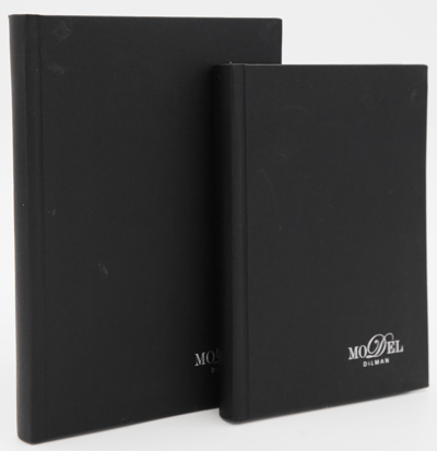 DİLMAN DEFTER MODELİST CİLTLİ SERT KAPAK 17x24 160 YP KARELİ 6015