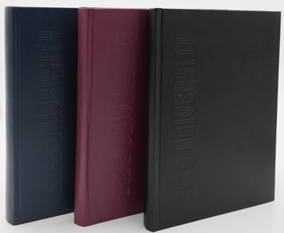 DİLMAN DEFTER ÜNİVERSİTE DİKİŞLİ SERT KAPAK 20x28 300 YP KARELİ 6803