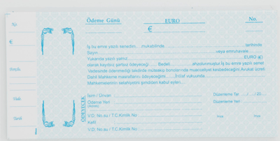 DİLMAN SENET EURO 100 LÜ 2312