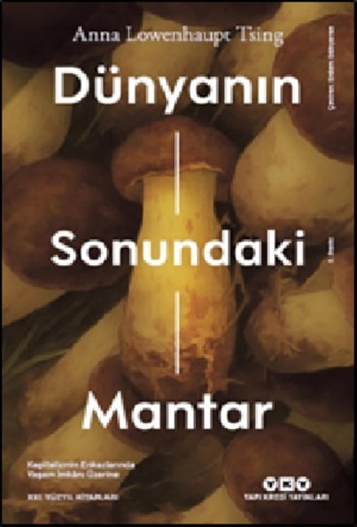 Dünyanın Sonundaki Mantar Kapitalizmin Enkazlarında Yaşam İmkânı Üzerine Anna Lowenhaupt Tsing  Yapı Kredi Yayınları YKY
