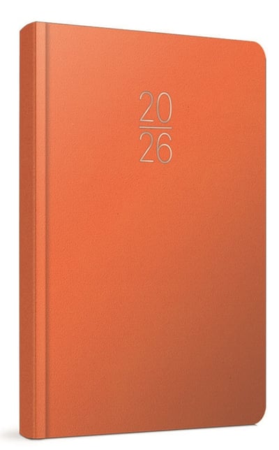 GIPTA AJANDA  GÜNLÜK EKO SUNİ DERİ 17x24 106-ECK