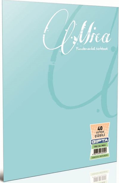 GIPTA DEFTER MICA A5 TEL DİKİŞLİ PP KAPAK 100 YP. KARELİ 2935