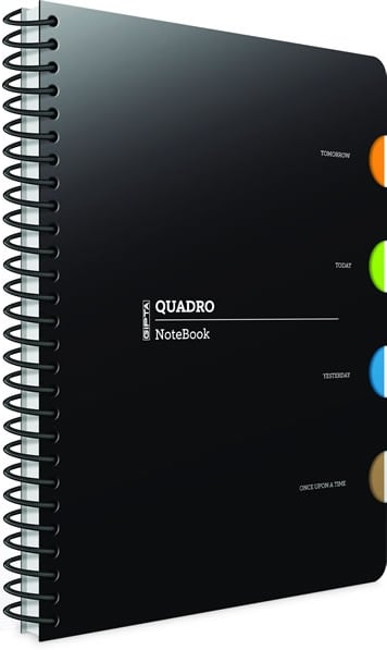GIPTA DEFTER QUADRO 17X24 SPİRALLİ PP KAPAK 4 SEPERATÖRLÜ 150 YP. KARELİ 2908