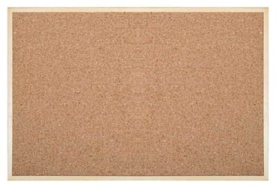İNTER MANTAR PANO EKO ÇERÇEVE 45X60 511