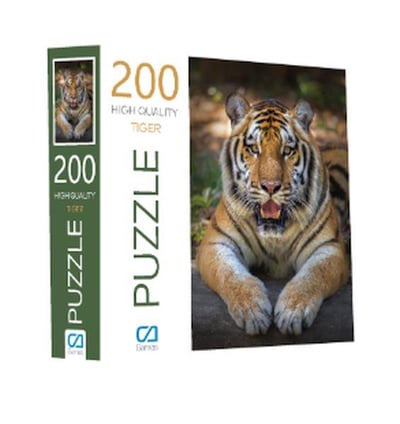 Kaplan Puzzle 200