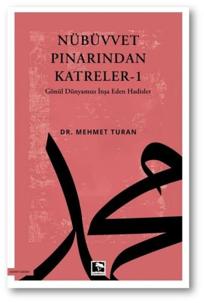 Nübüvvet Pınarından Katreler - 1 Gönül Dünyamızı İnşa Eden Hadisler