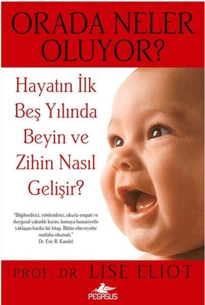 Orada Neler Oluyor