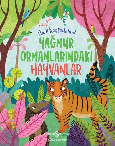 Yağmur Ormanlarındaki Hayvanlar – Hadi Keşfedelim!