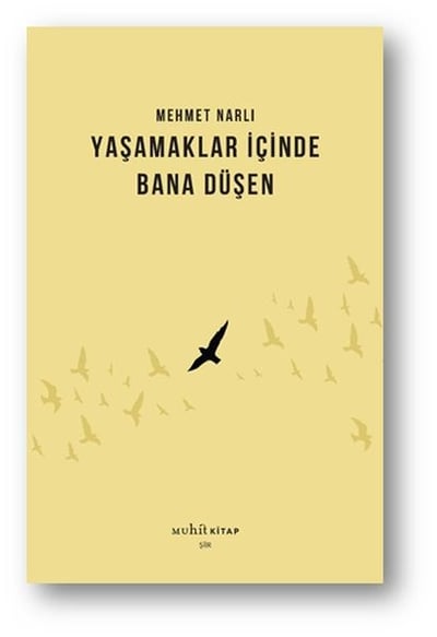 Yaşamaklar İçinde Bana Düşen