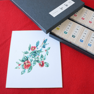 ZIG INK STICK SAIBOKU SHIMBI 14 RENK AK8/14V