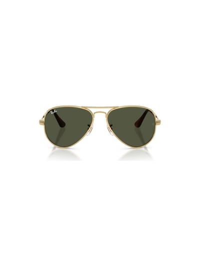 Ray-Ban RB 3925 001/31 .58 Güneş Gözlüğü