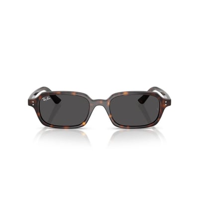 Ray-Ban RB 4455 135987 .49 Unisex Güneş Gözlüğü