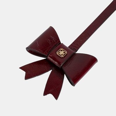 DP-4896 AW25 KADIN FİYONK CHARM