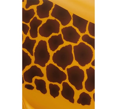 Samsonite Dream Go Ride - Çocuk Valizi 52 cm